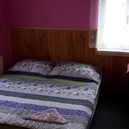 Hotel Orlice Дештне-в-Орлицьких-Горах Екстер'єр фото