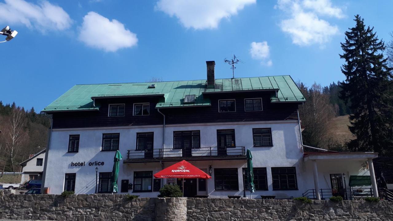 Hotel Orlice Дештне-в-Орлицьких-Горах Екстер'єр фото
